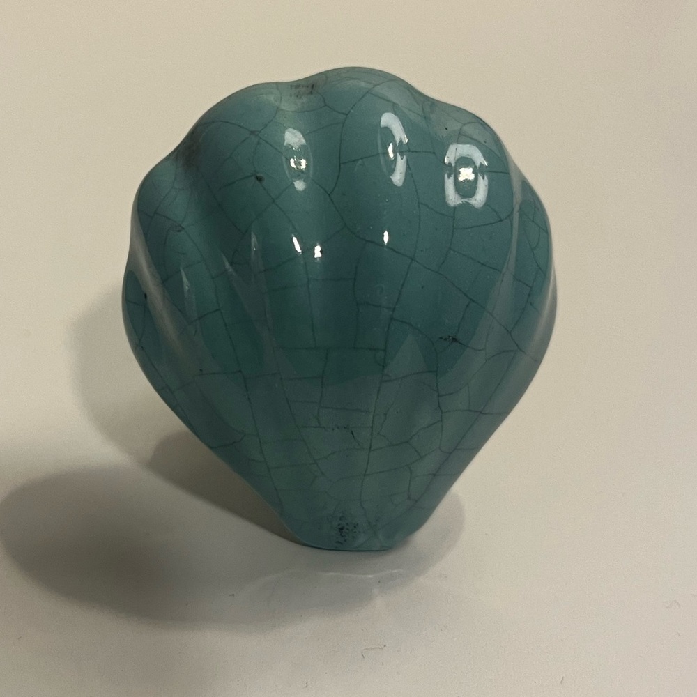 🤩NWT: 4 Sea Shell Knobs